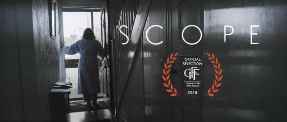 Chicago Announcement Banner